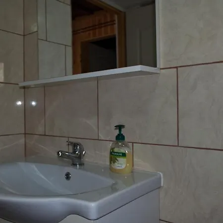 La Rodica In Vale Guest House Ocna Sugatag Exterior photo