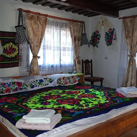 La Rodica In Vale Guest House Ocna Sugatag Exterior photo