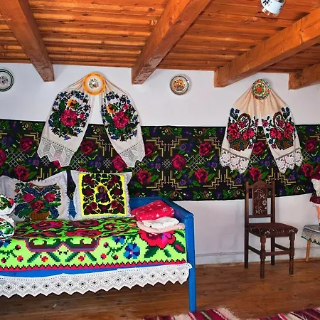 La Rodica In Vale Guest House Ocna Sugatag Exterior photo