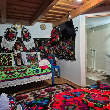 La Rodica In Vale Guest House Ocna Sugatag Exterior photo