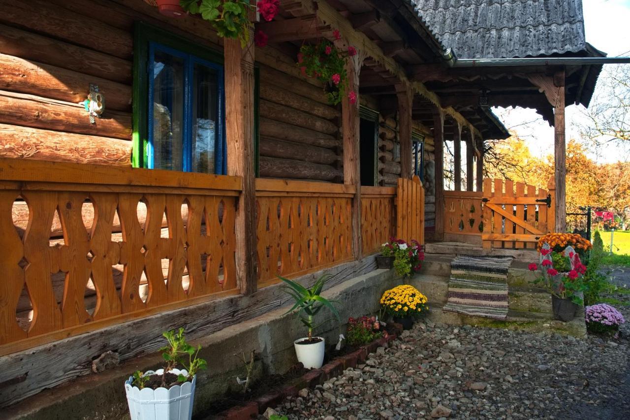 La Rodica In Vale Country house Ocna Sugatag